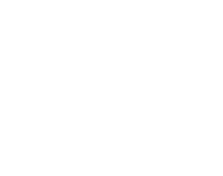 Vitruvi